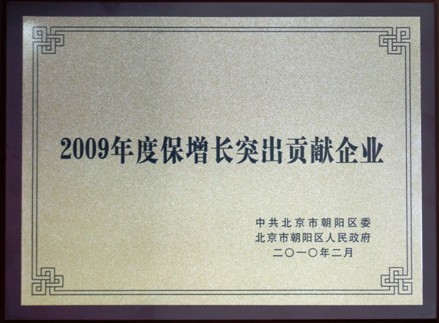 “2009年度保增長(cháng)突出贡献企业”奖牌