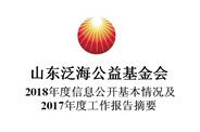 山(shān)东泛海公益基金会2018年度信息公开基本情况及2017年度工作报告摘要